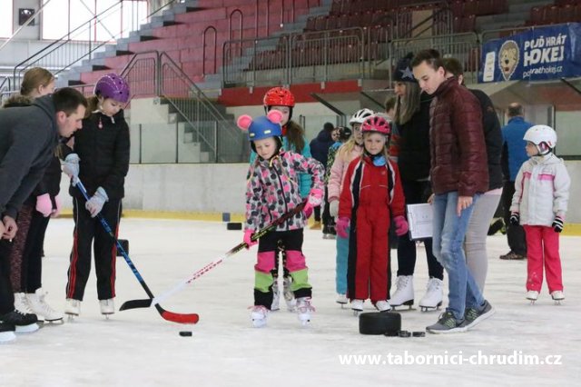 ice show 2019