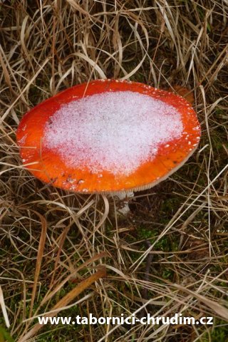 podzimni ohen 2
